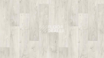 Линолеум Tarkett Discovery RIGARD 1 фото 1 | FLOORDEALER